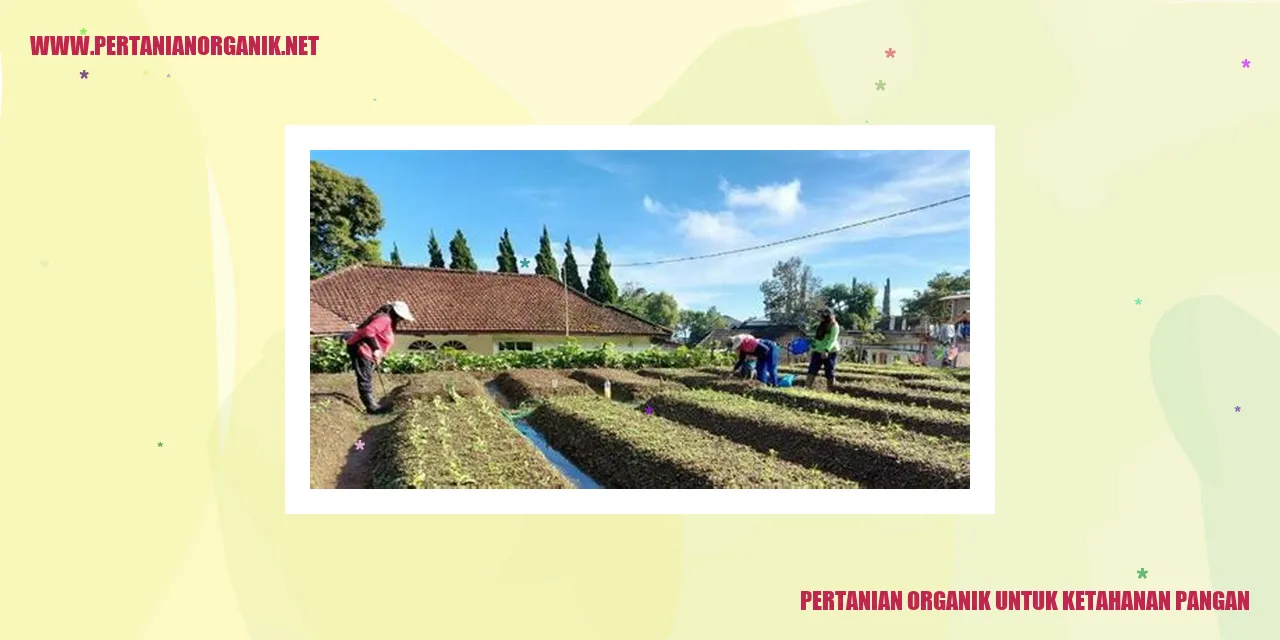Pertanian Organik untuk Ketahanan Pangan