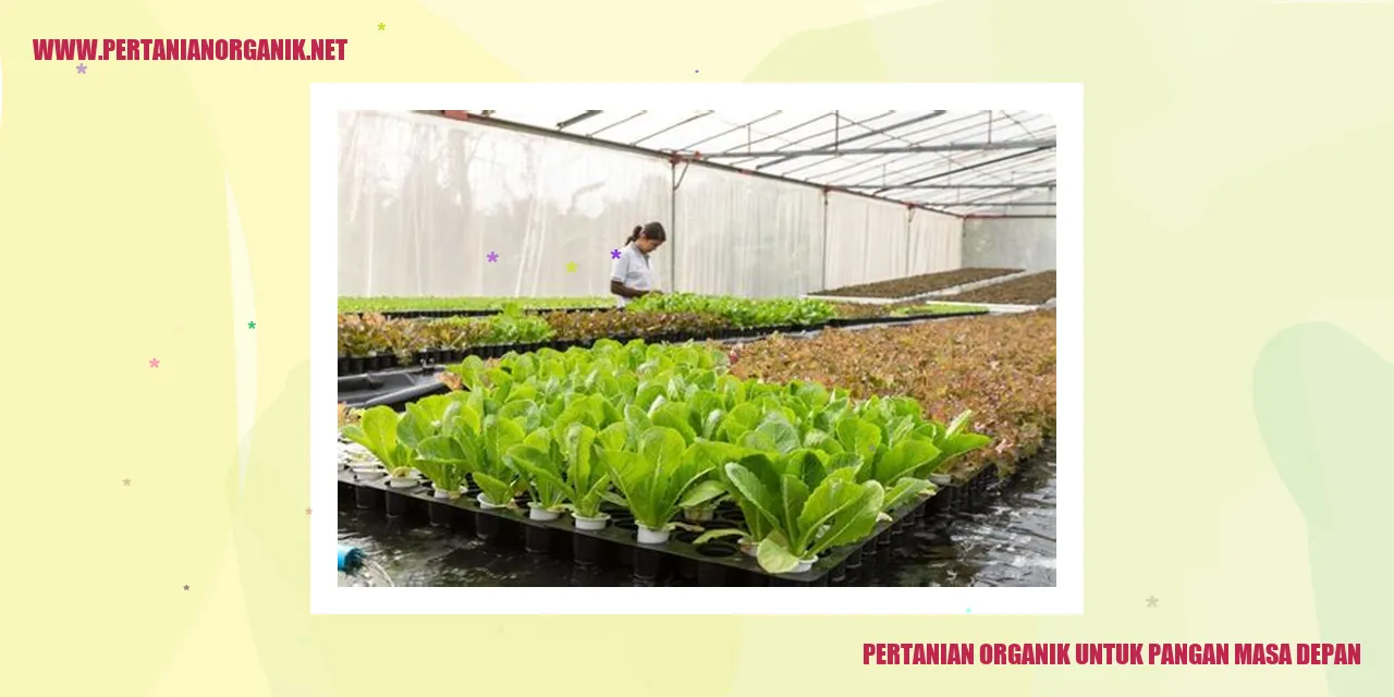 Pertanian Organik untuk Pangan Masa Depan