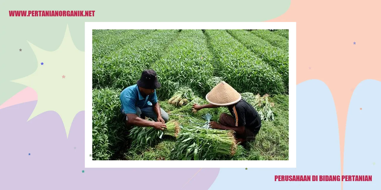 perusahaan di bidang pertanian