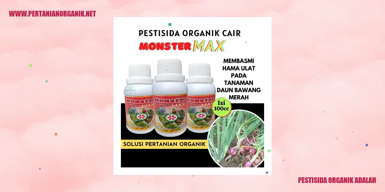Pestisida Cabe