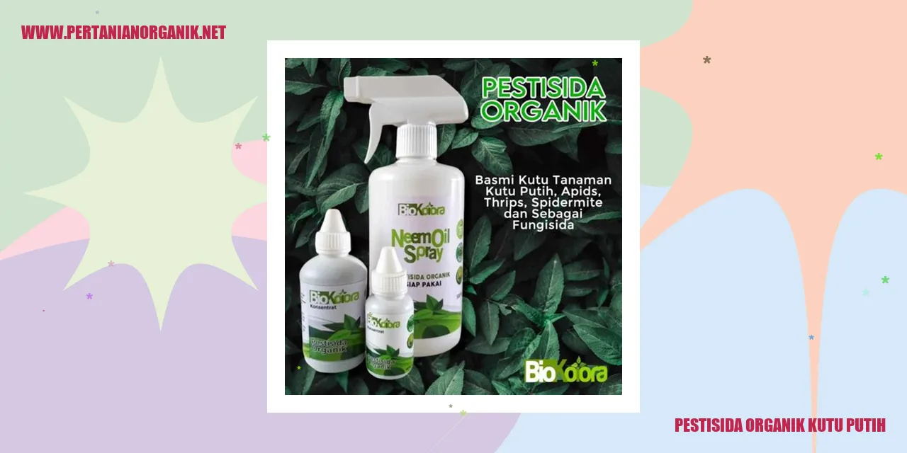 Pestisida Organik Kutu Putih