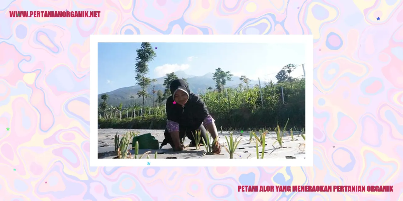 Petani Alor yang Menerapkan Pertanian Organik