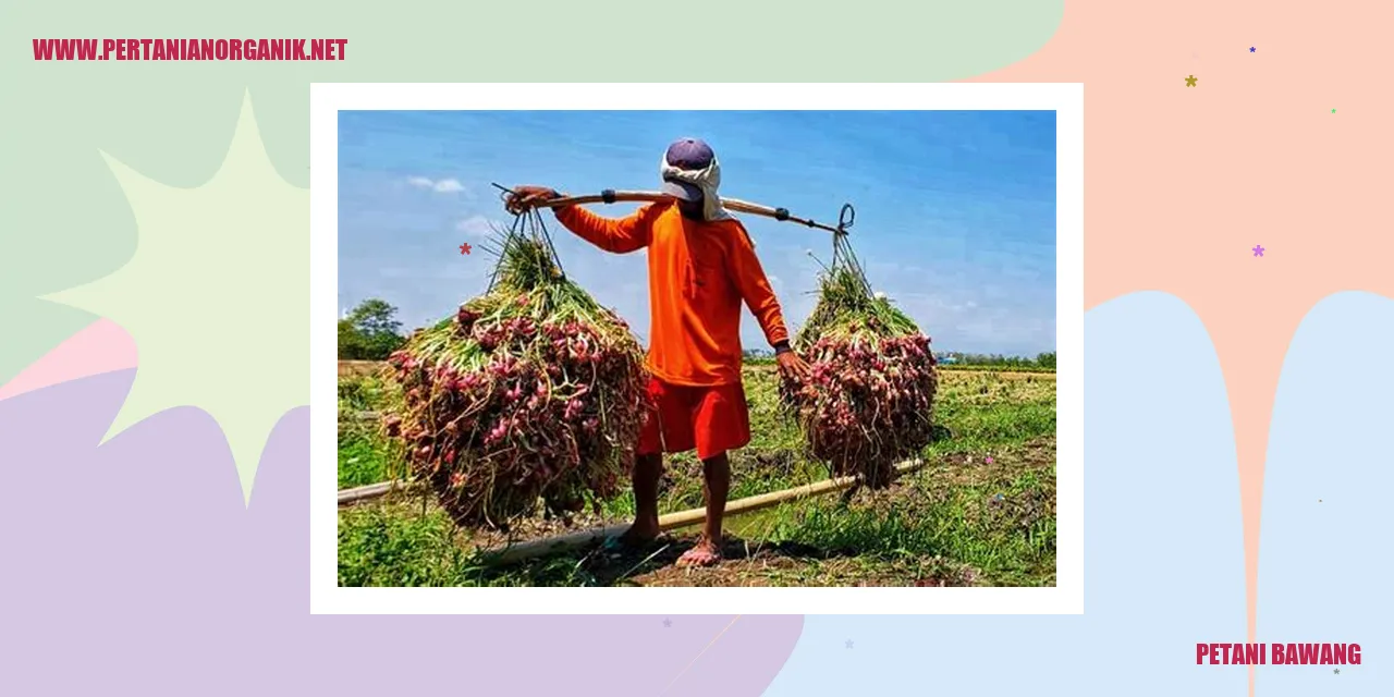 Gambar Petani Bawang