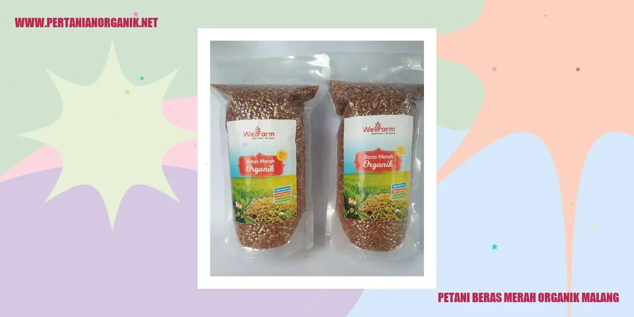 Petani Beras Merah Organik Malang