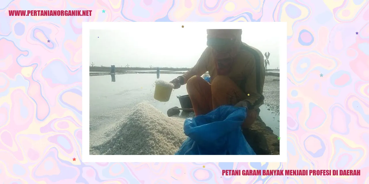 Petani Garam
