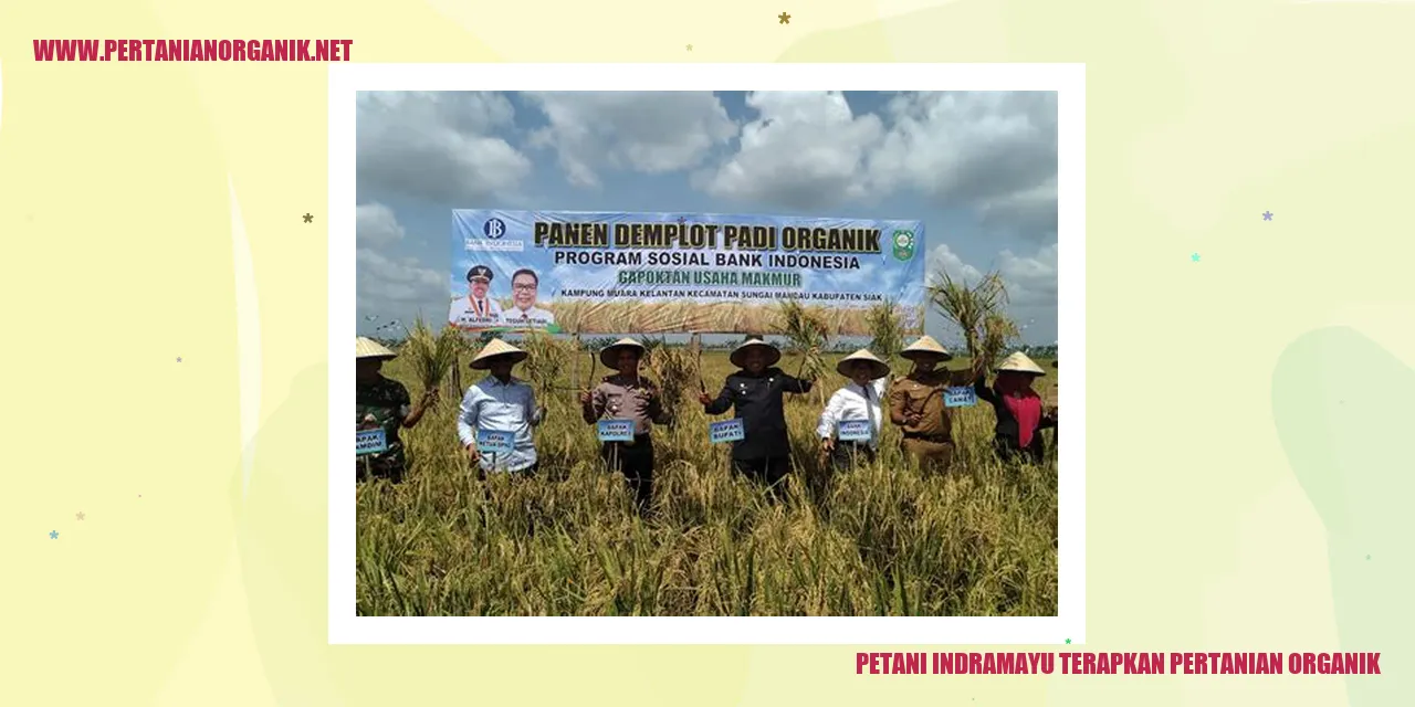 Petani Indramayu Terapkan Pertanian Organik
