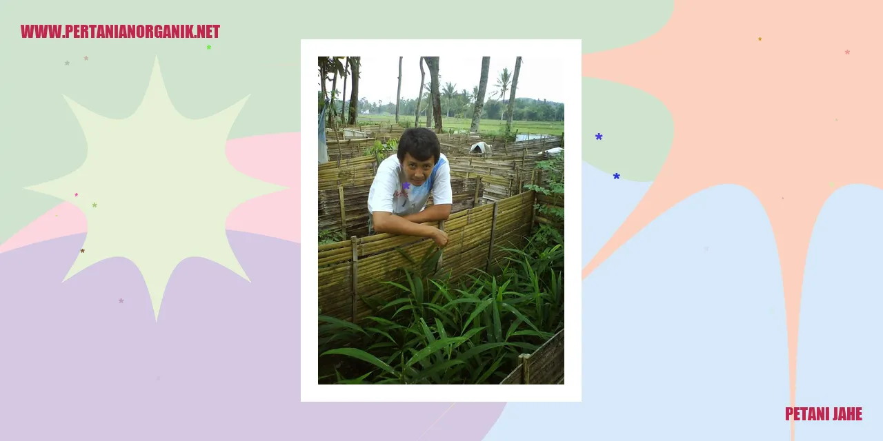 Petani Jahe