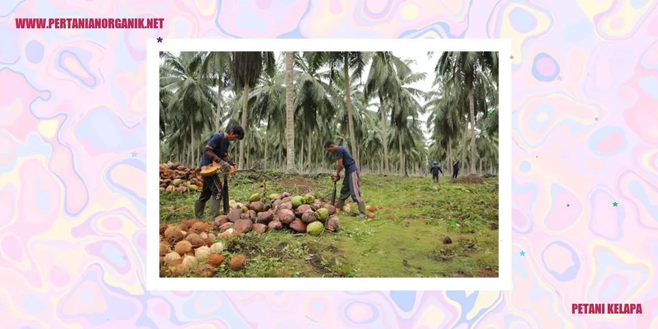 Petani Kelapa