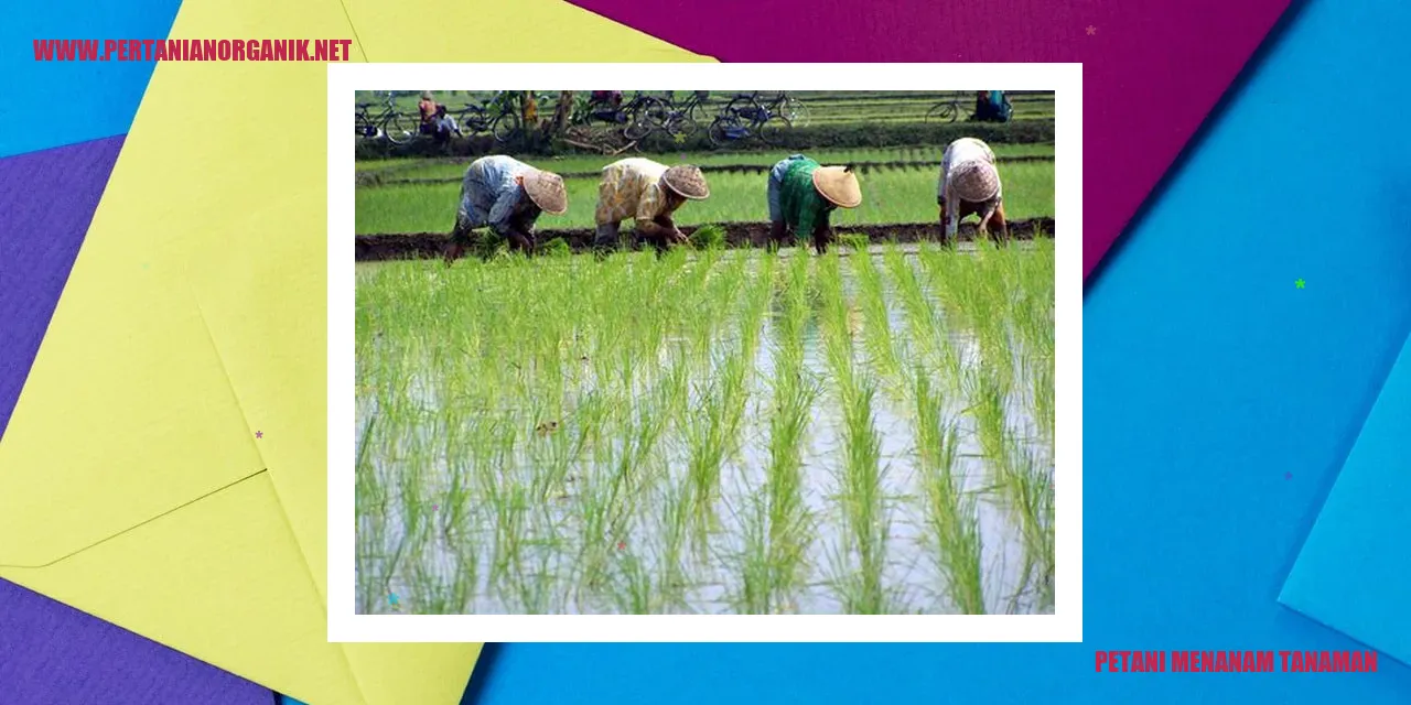 petani menanam tanaman