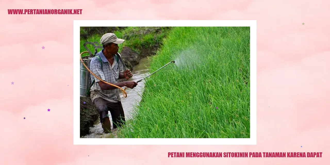 Petani Menggunakan Sitokinin pada Tanaman Karena Dapat