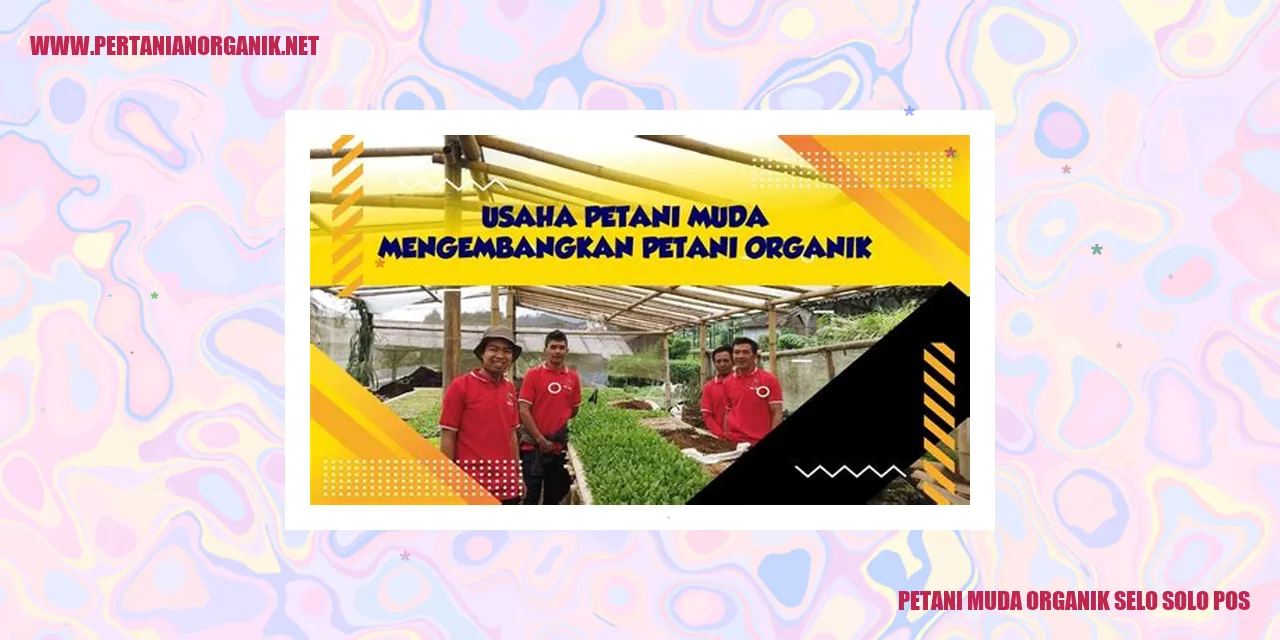 Petani Muda Organik Selo Solo Pos