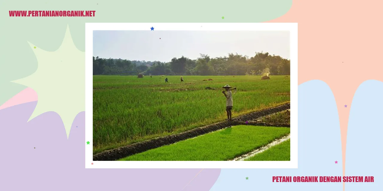 Petani Organik dengan Sistem Air