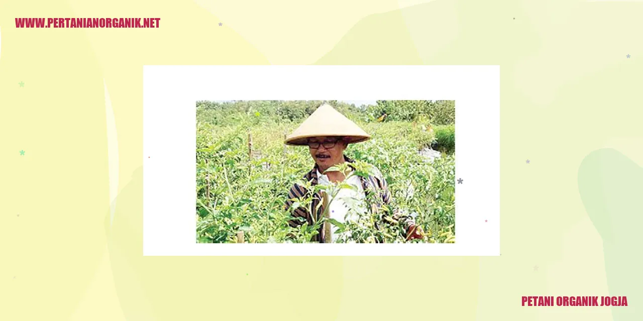 petani organik jogja