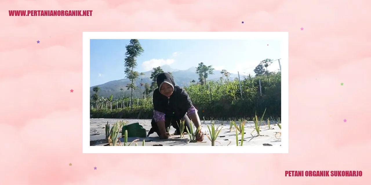 Petani Organik Sukoharjo