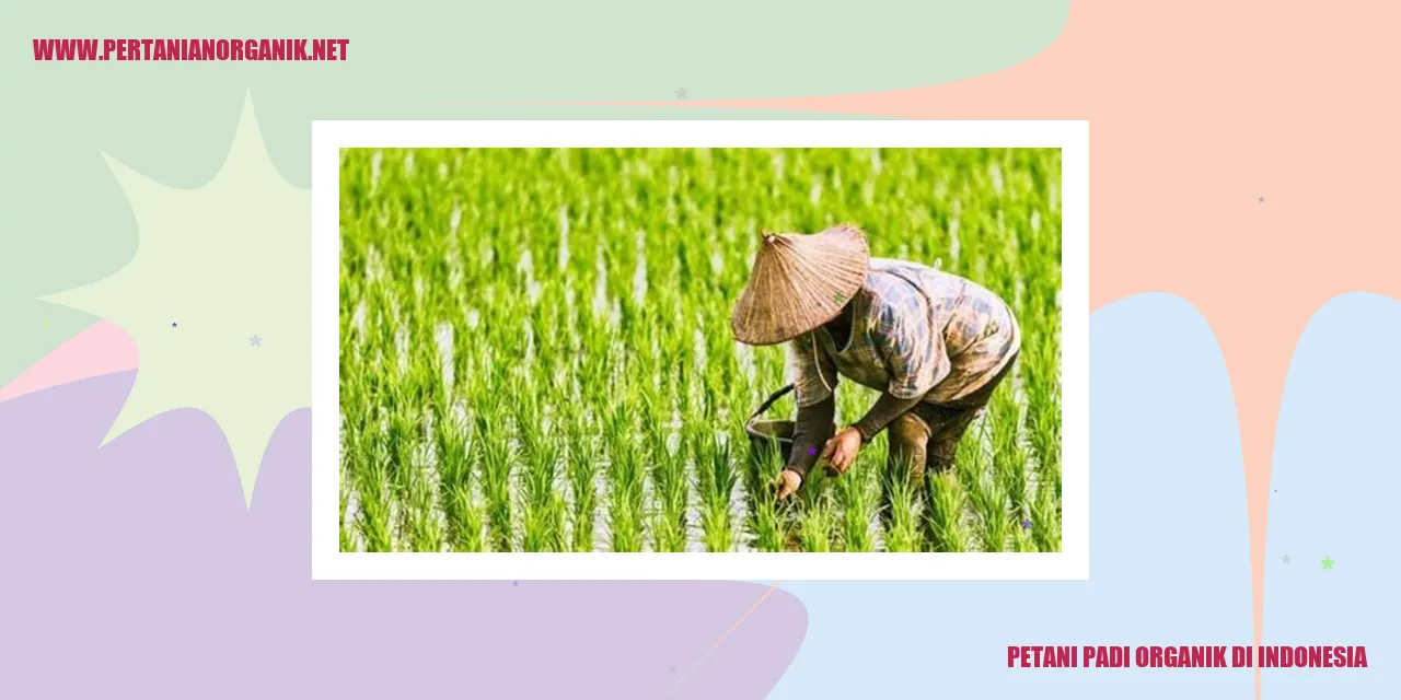 Petani Padi Organik di Indonesia