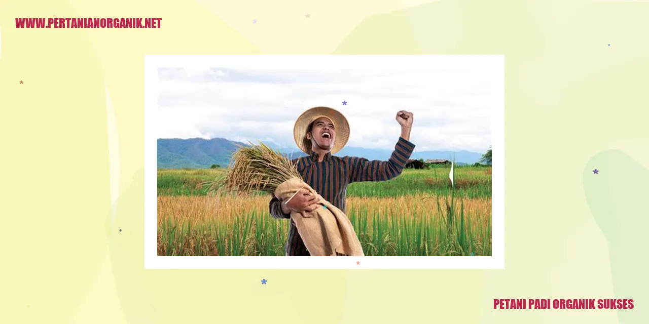 petani padi organik sukses