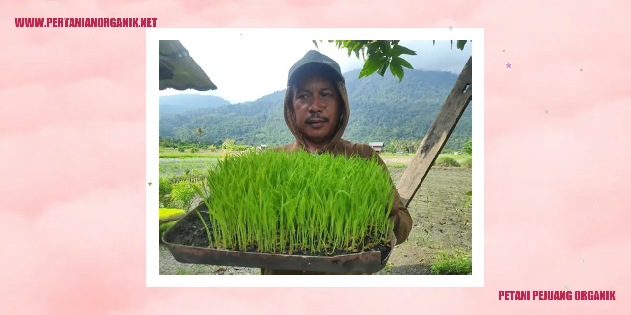 petani pejuang organik