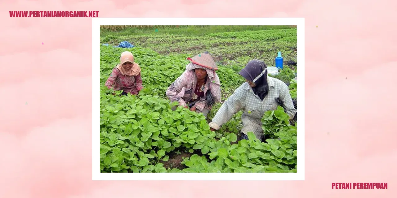 petani perempuan