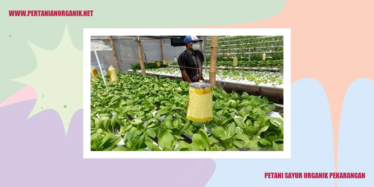 petani sayur organik pekarangan