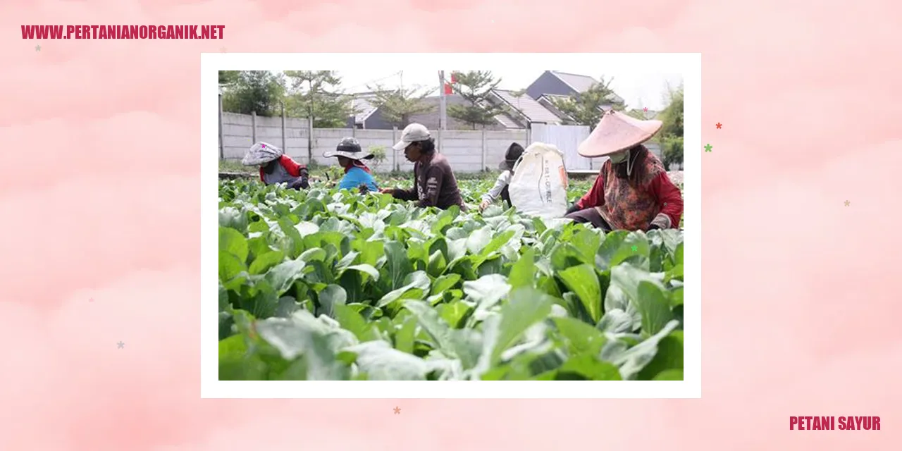 Petani sayur