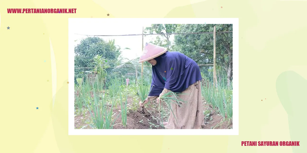 Petani Sayuran Organik