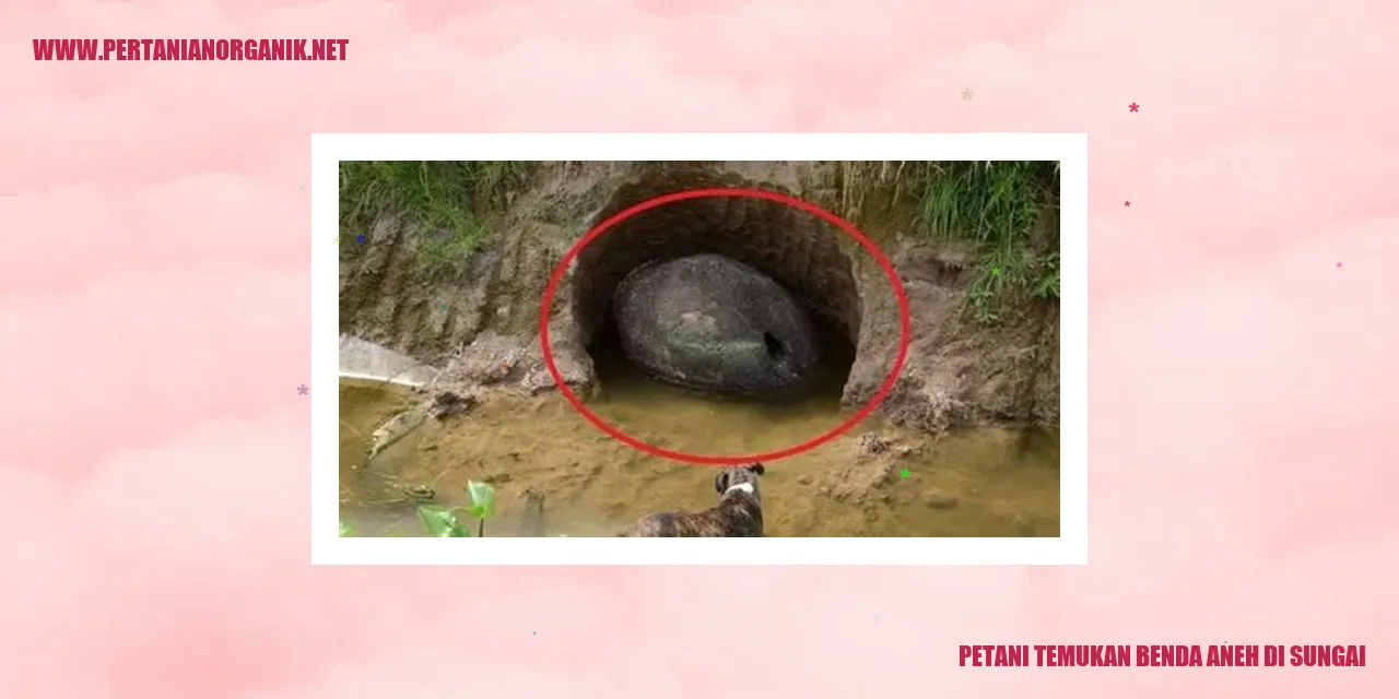 Petani Temukan Benda Aneh di Sungai