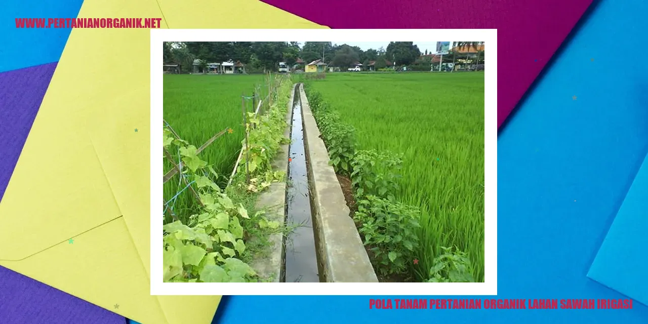 Pola Tanam Pertanian Organik Lahan Sawah Irigasi