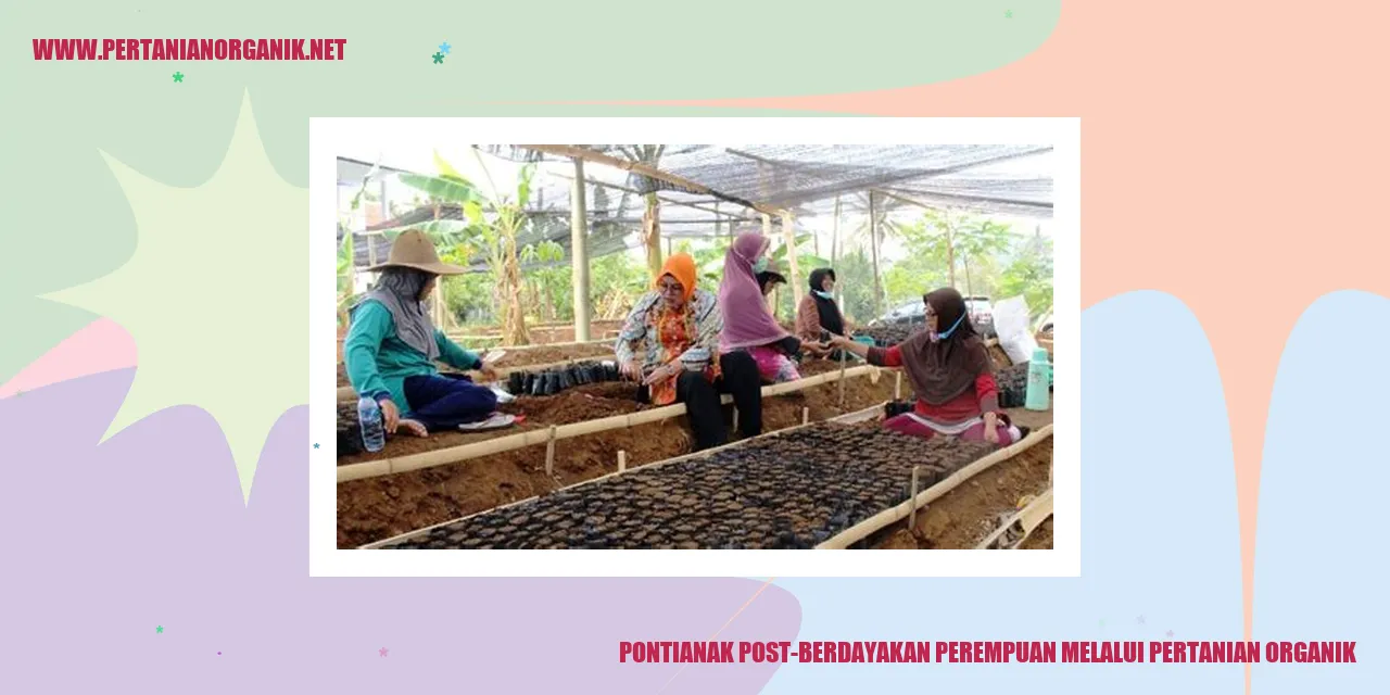 pontianak post-berdayakan perempuan melalui pertanian organik