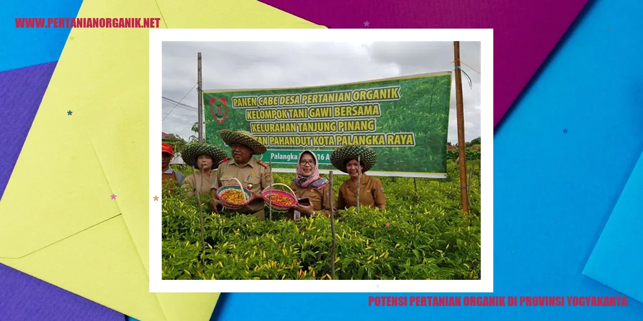 potensi pertanian organik di provinsi yogyakarta