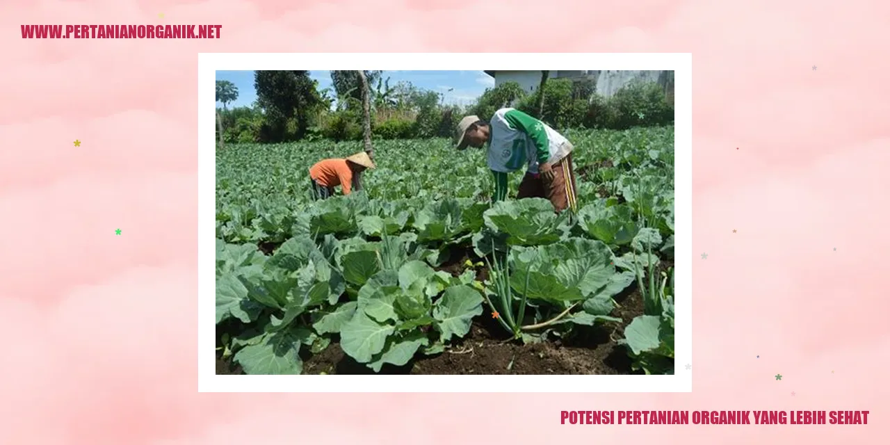 Potensi Pertanian Organik yang Lebih Sehat