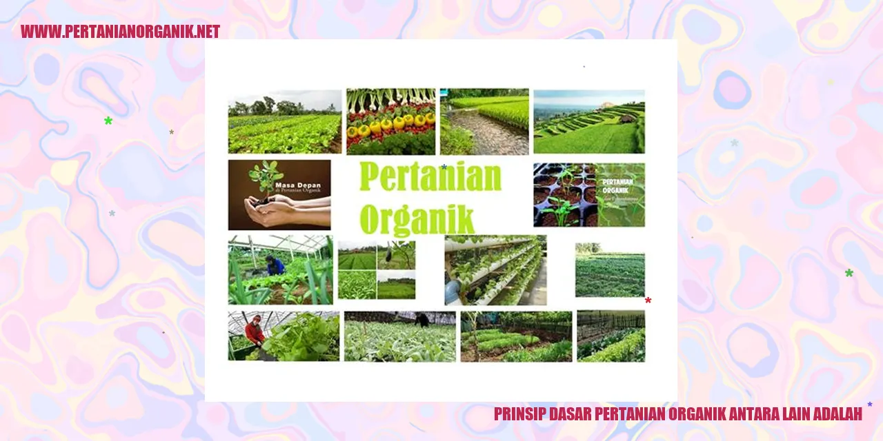 prinsip pertanian organik