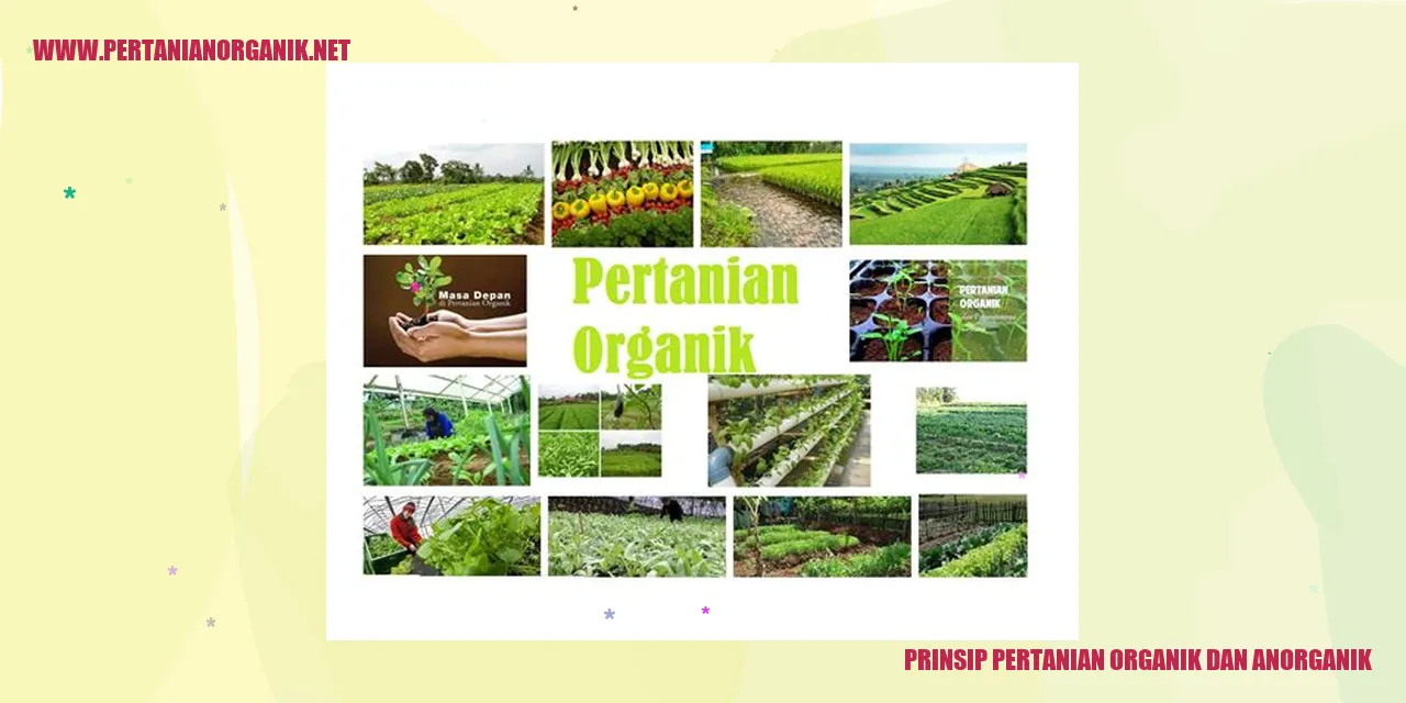 gambar pertanian organik dan anorganik