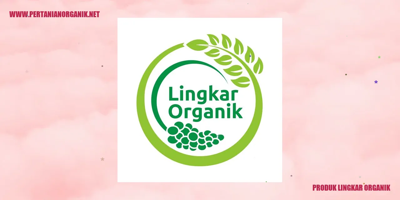 Makanan organik