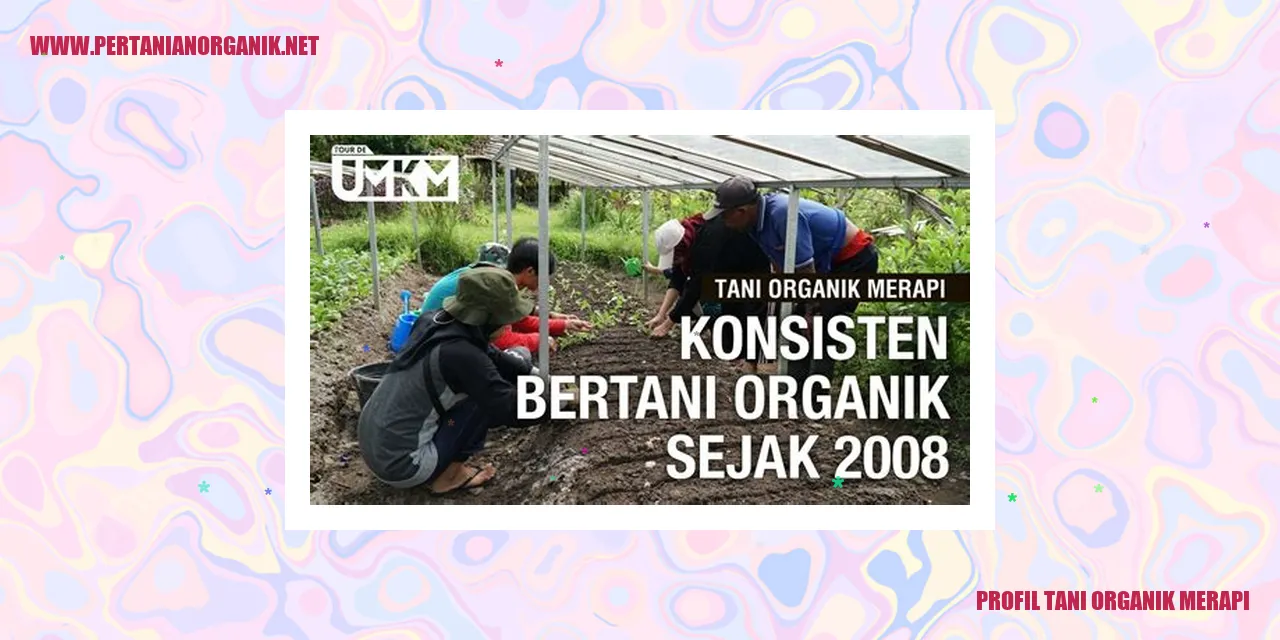 profil tani organik merapi