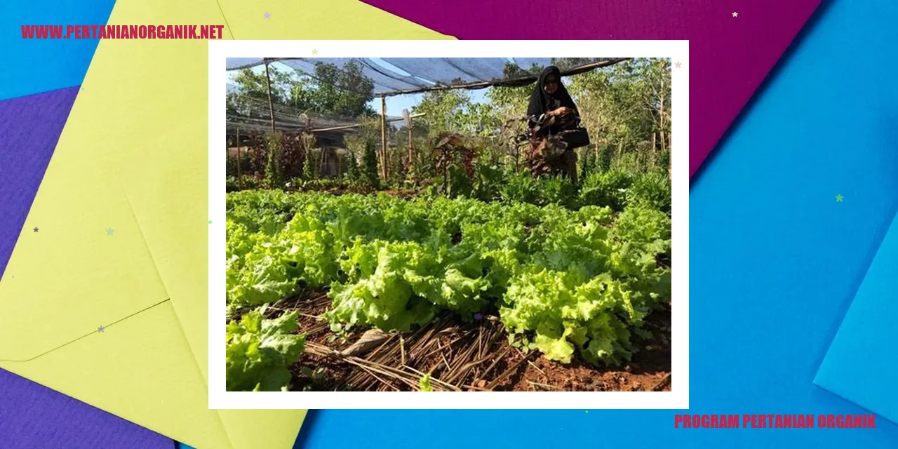 program pertanian organik