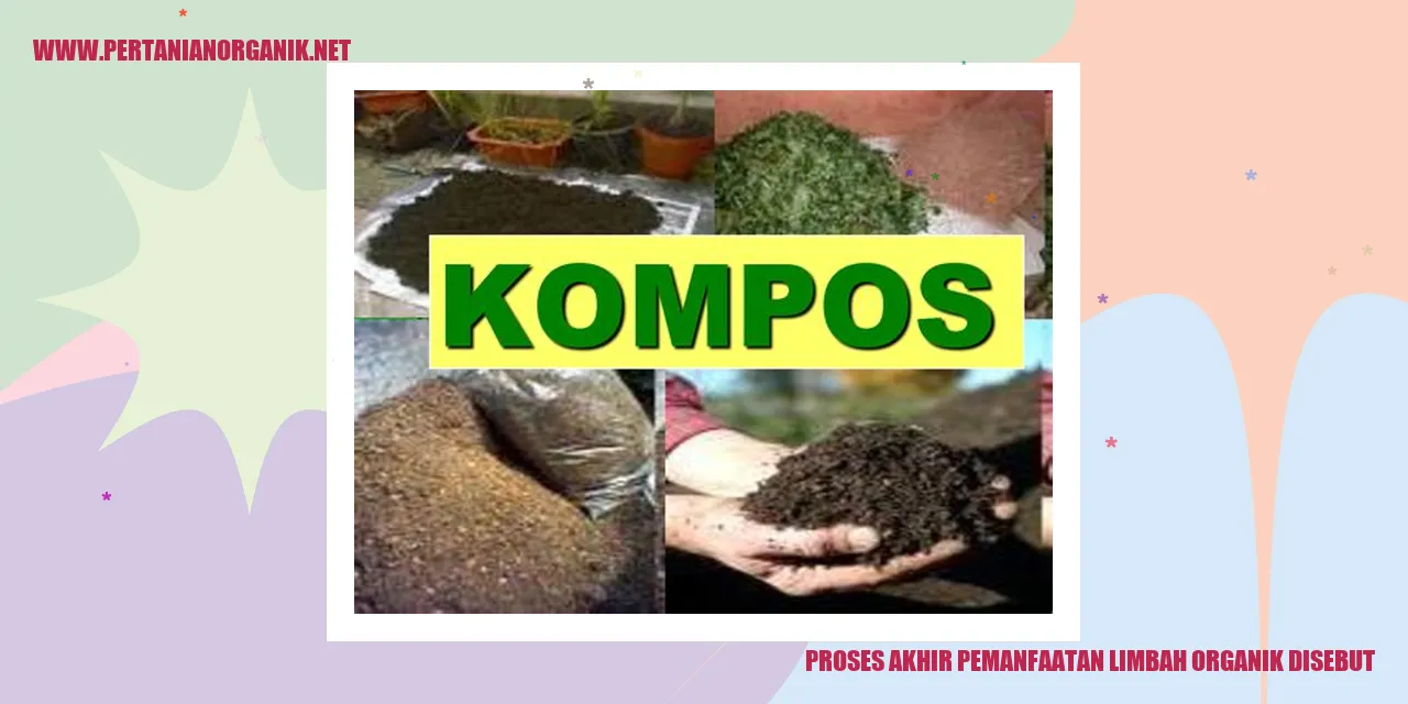 Proses Pengeringan Limbah Organik