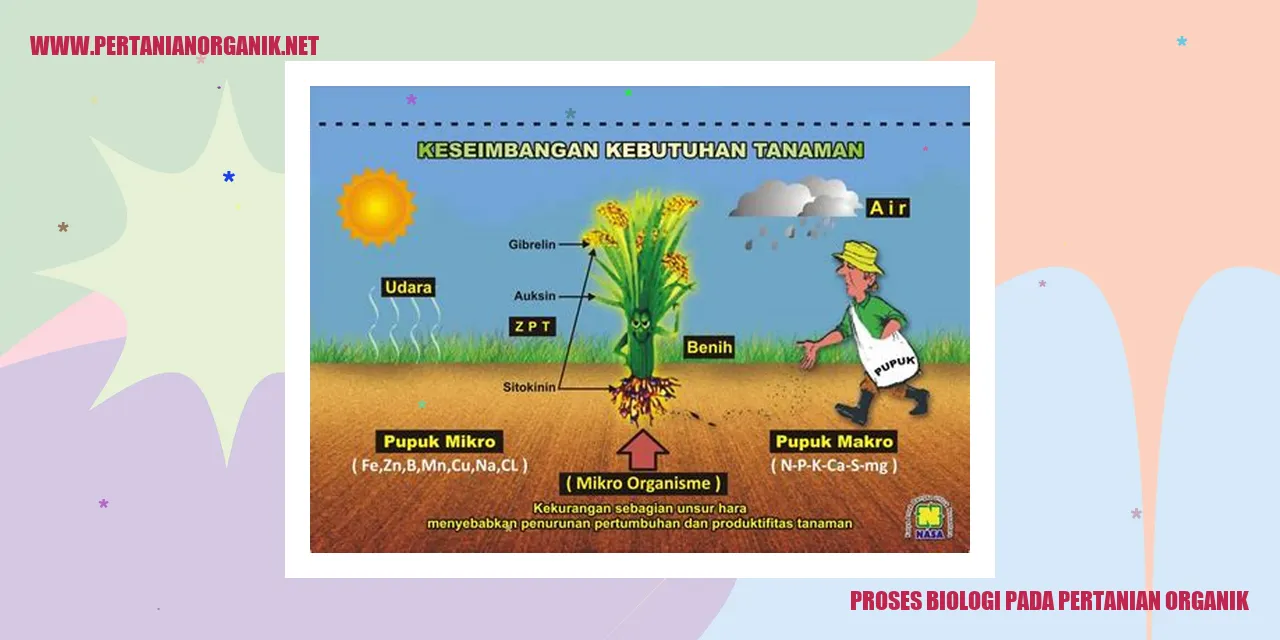Sirkulasi Nutrisi dalam Tanah