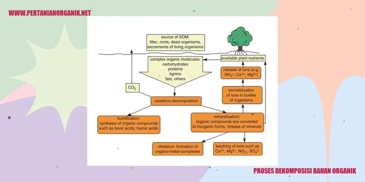proses dekomposisi bahan organik