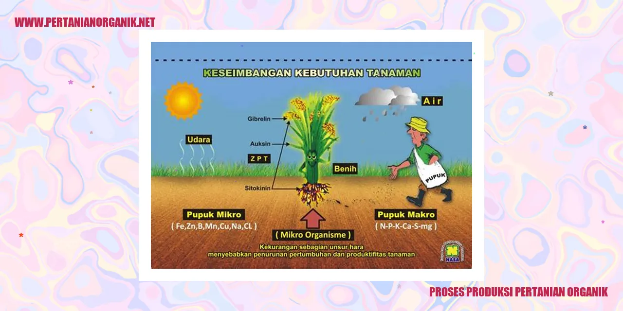 Proses Produksi Pertanian Organik