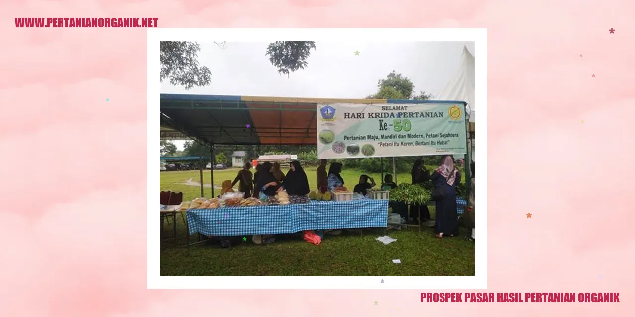 prospek pasar hasil pertanian organik