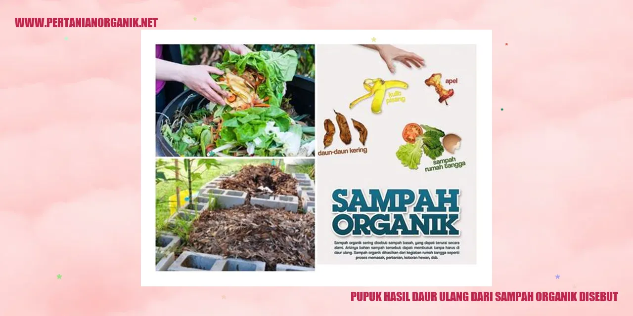 pupuk hasil daur ulang dari sampah organik disebut