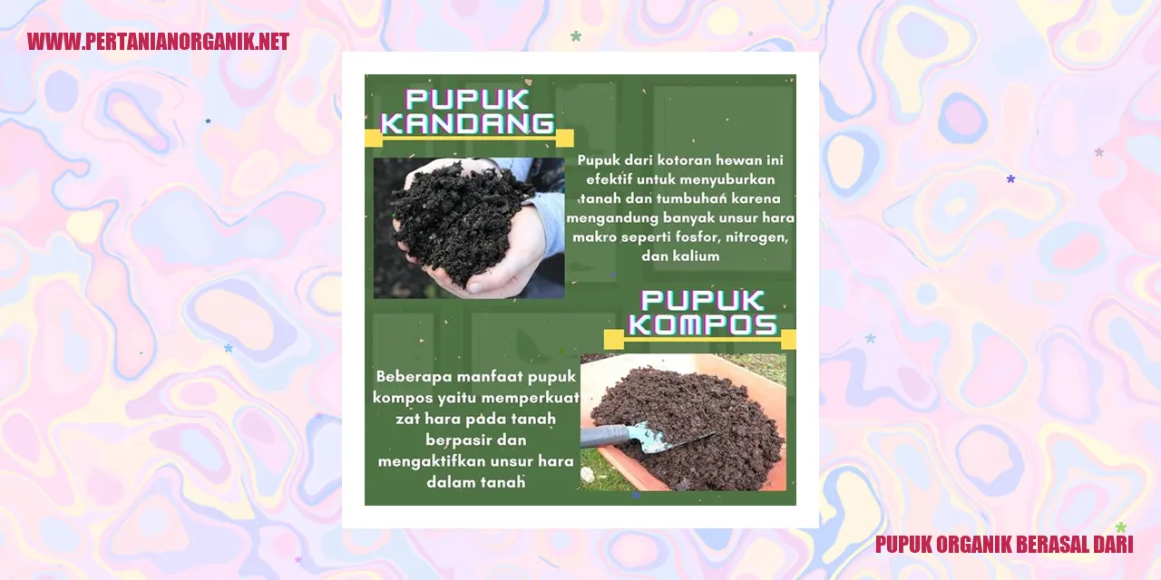 Pupuk organik berasal dari
