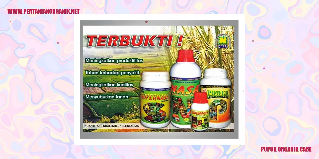 Pupuk Organik Cabe