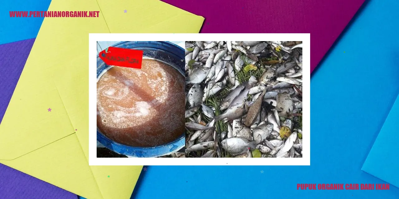 Pupuk Organik Cair dari Ikan