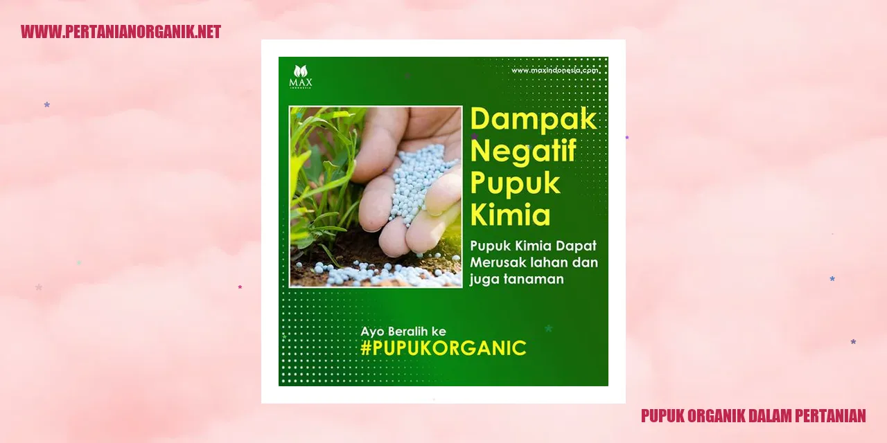 Pupuk Organik dalam Pertanian