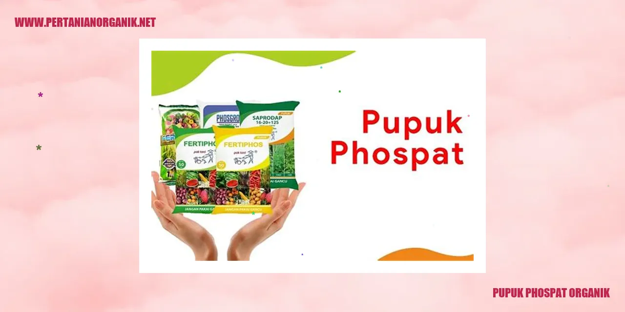 Pupuk phospat organik