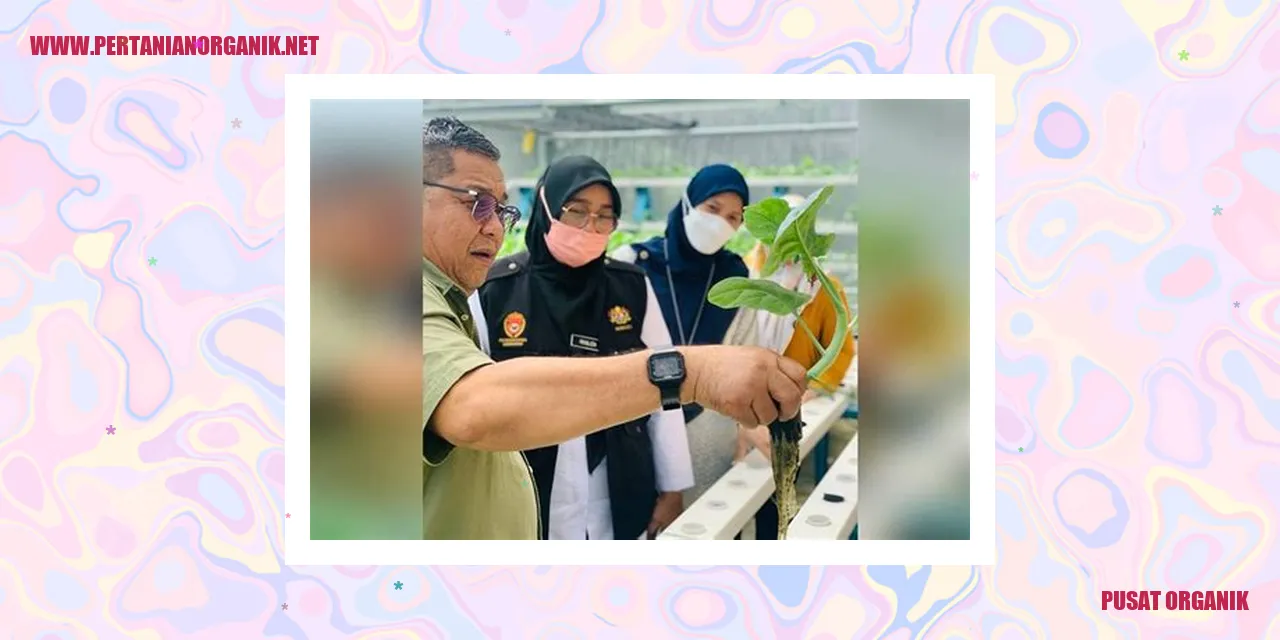 Pusat Organik