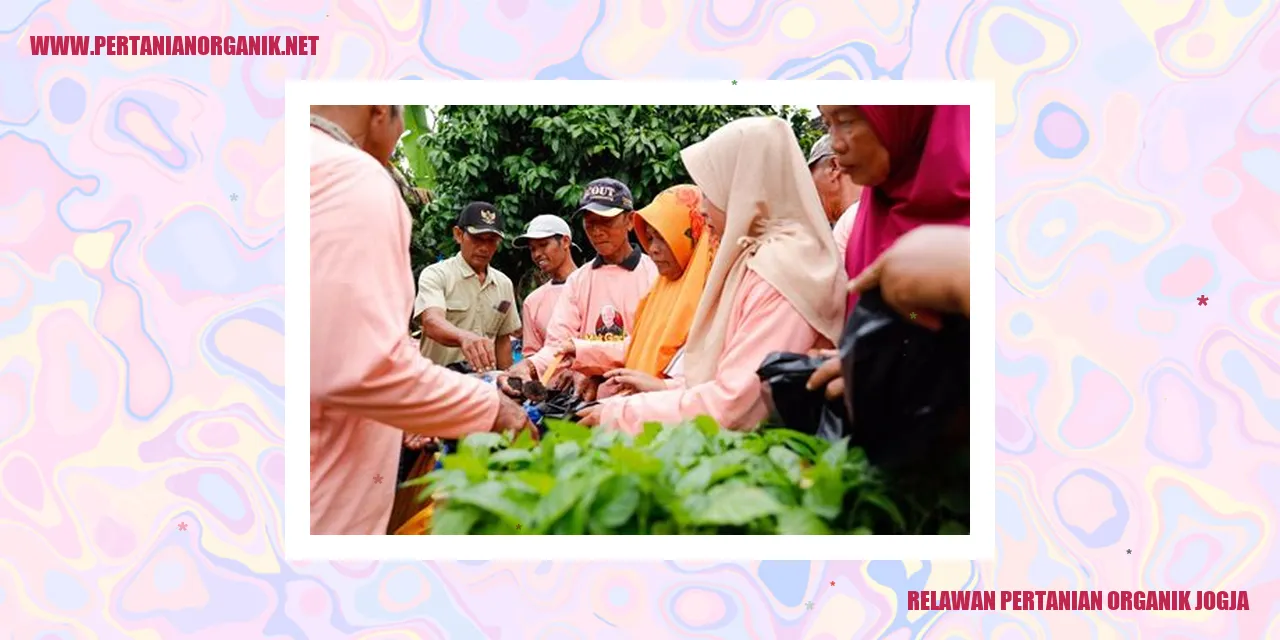 relawan pertanian organik jogja