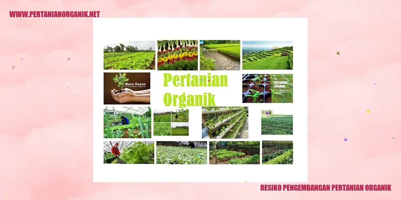 resiko pengembangan pertanian organik