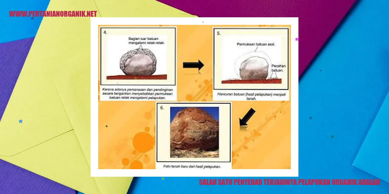 Contoh Tanah Kurang Subur